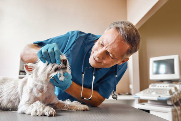 Best Emergency Denture Repair in San Rlos, CA